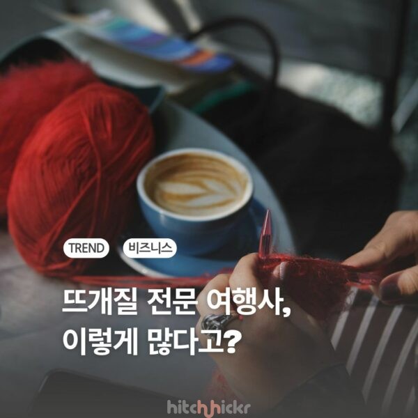 뜨개질 전문 여행사가 이렇게 많다고? 투어부터 크루즈까지, 세분화되는 목적 기반 여행