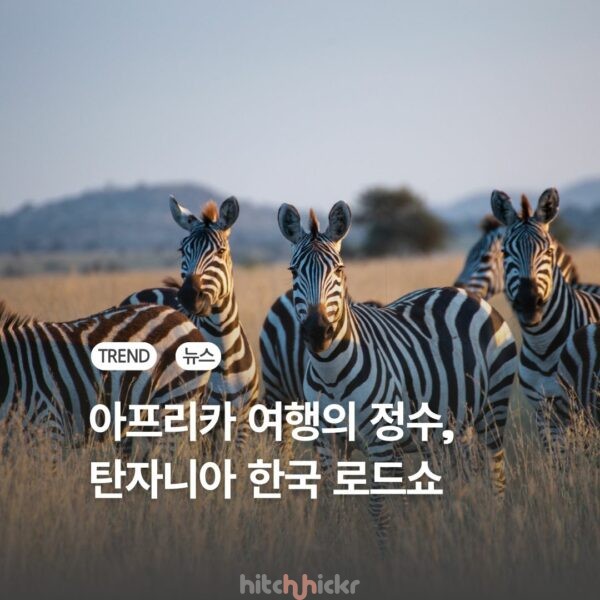 [현장 취재] 탄자니아, 서울에서 첫 ‘메가 로드쇼’ 개최