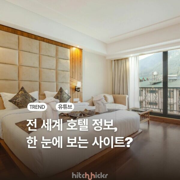 [히치하이커TV] SNS에서 화제인 AI기반 호텔정보 사이트, 분석해보니?